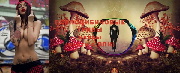2c-b Гусиноозёрск
