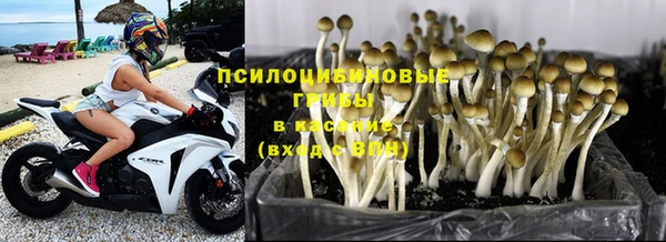 героин Гусев
