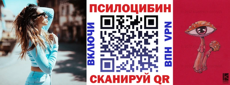 Купить где  Калачинск  Псилоцибиновые грибы Psilocybine cubensis 
